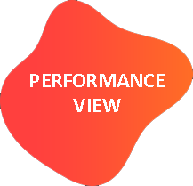 Performance View